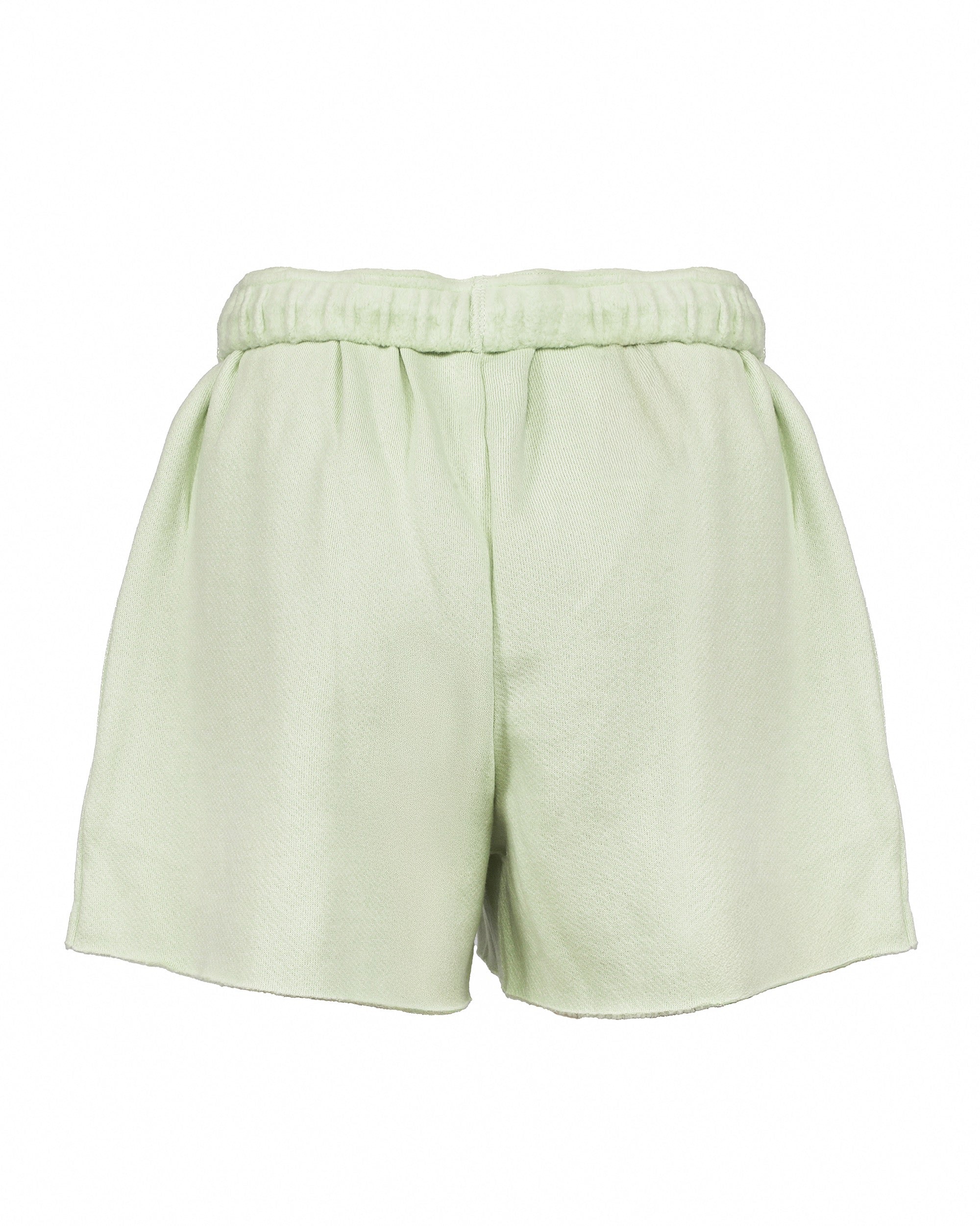 MINT RAZZLE DAZZLE V4 BASIC SHORT