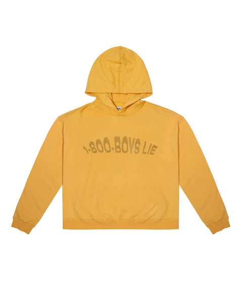 NBA Young Money x BR Remix Hoodie Gold / Large
